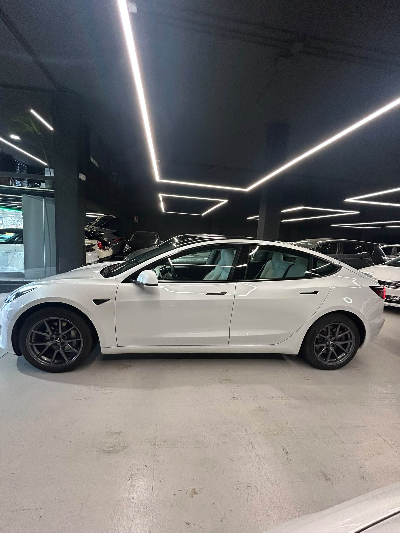 TESLA MODEL 3 - Imagen 11